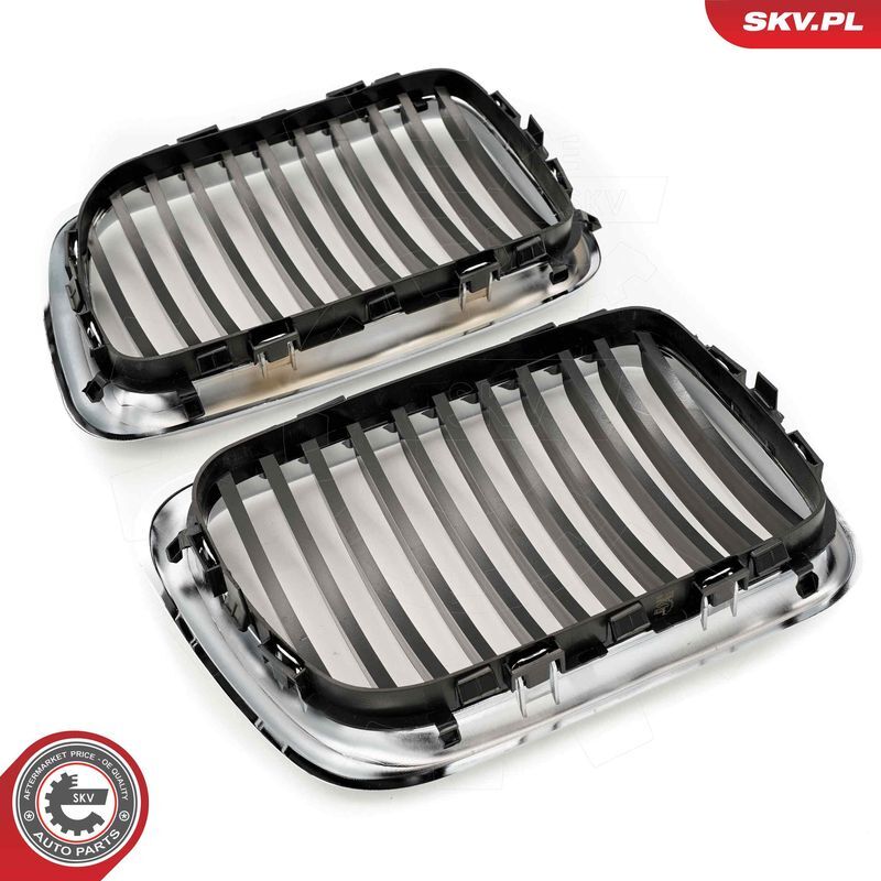 ESEN SKV, Grille de radiateur