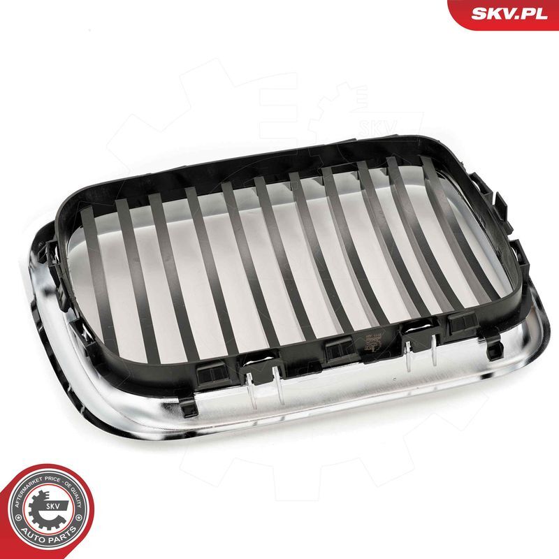 ESEN SKV, Grille de radiateur