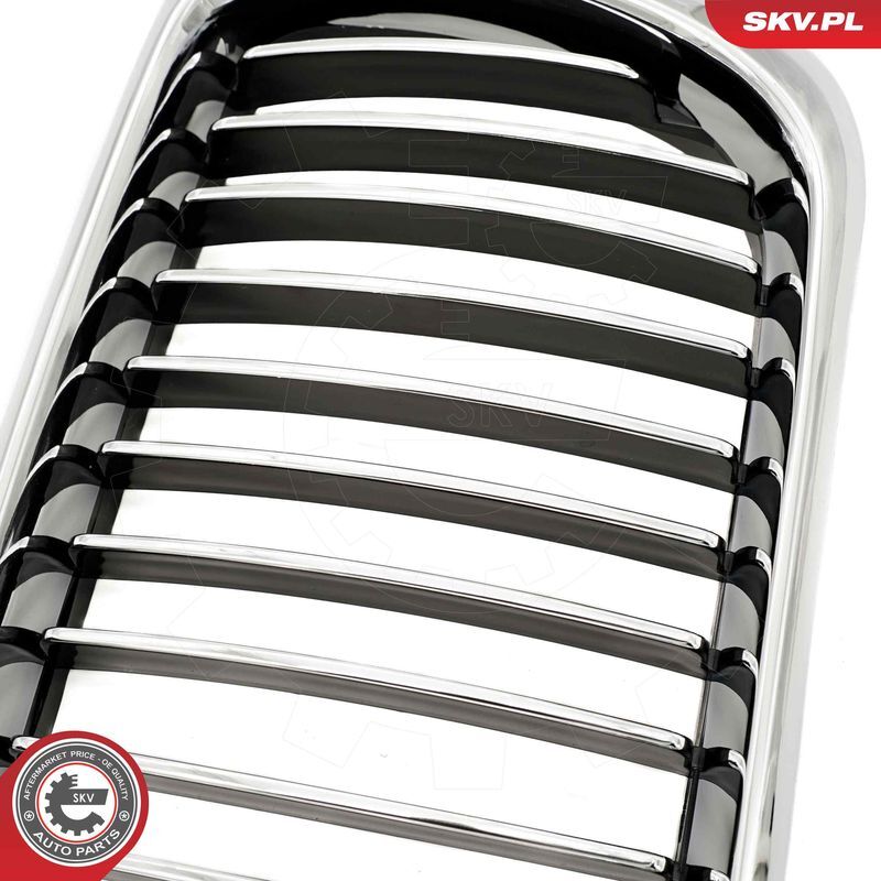 ESEN SKV, Grille de radiateur