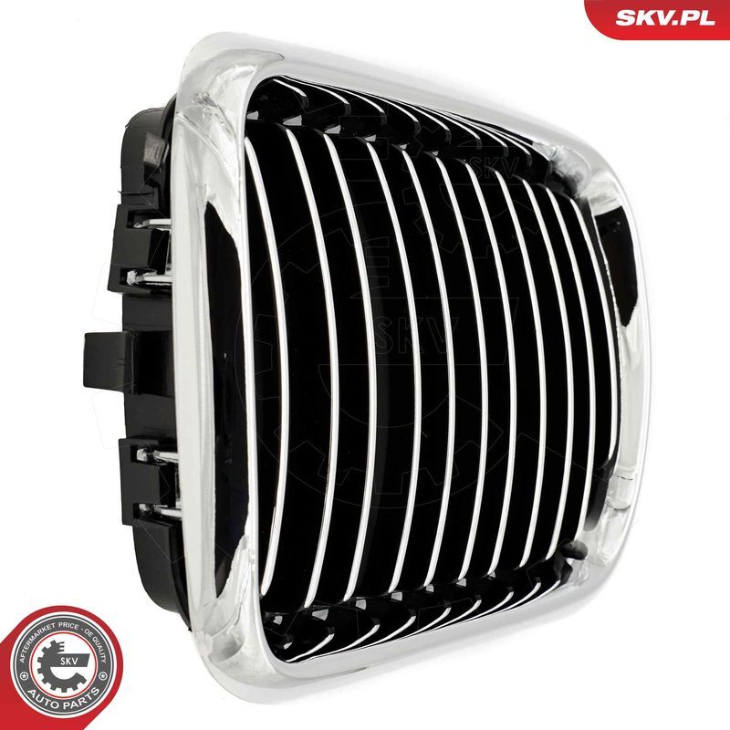 ESEN SKV, Grille de radiateur