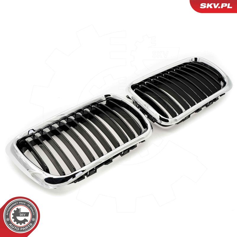 ESEN SKV, Grille de radiateur