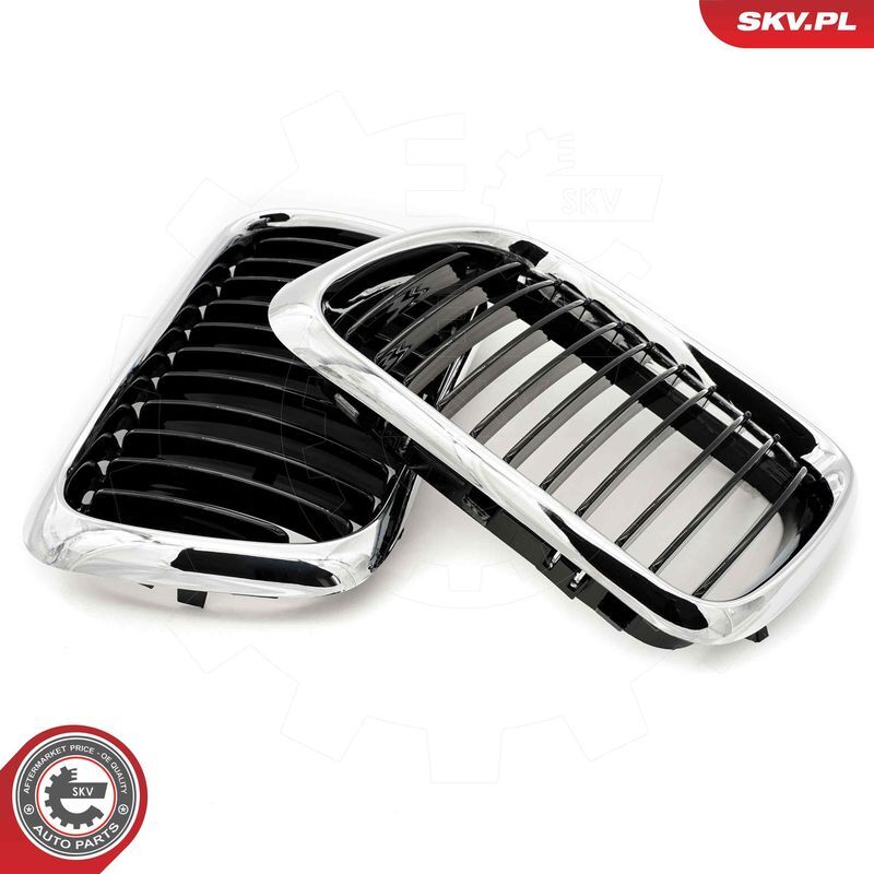 ESEN SKV, Grille de radiateur