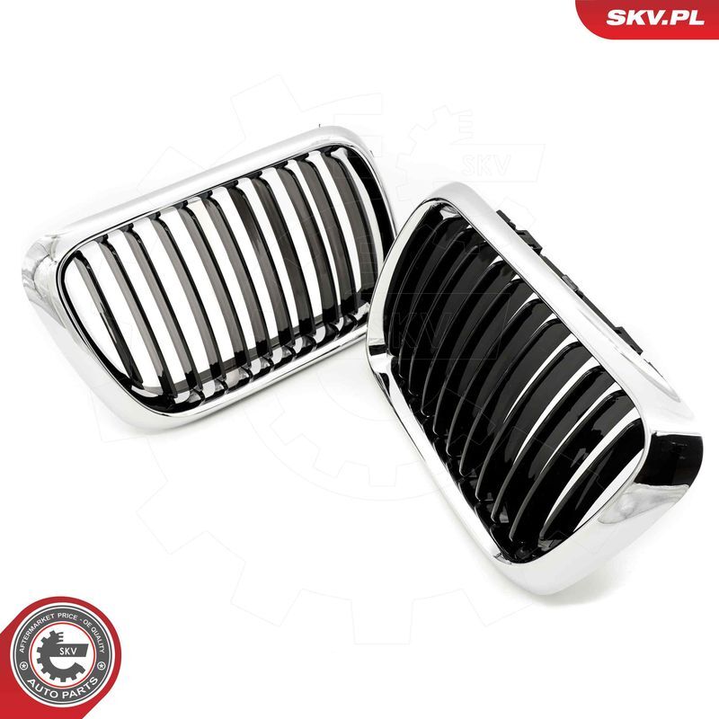 ESEN SKV, Grille de radiateur