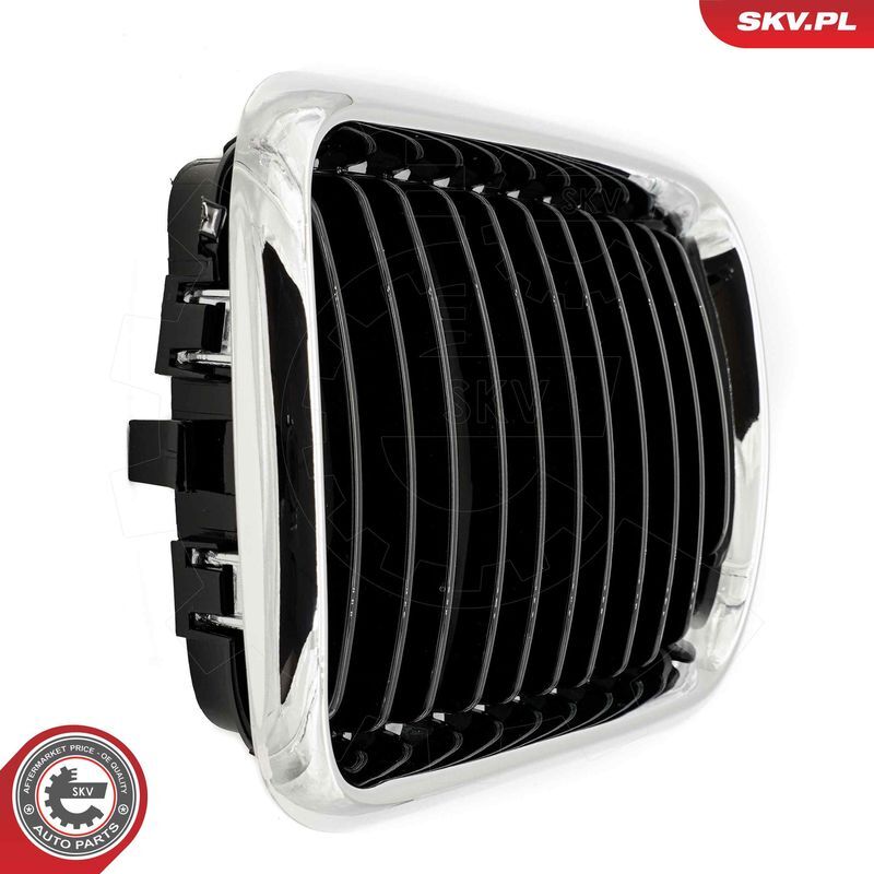 ESEN SKV, Grille de radiateur