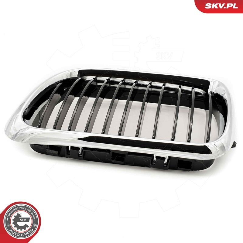 ESEN SKV, Grille de radiateur