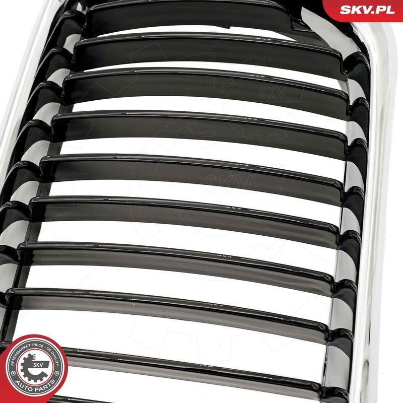 ESEN SKV, Grille de radiateur