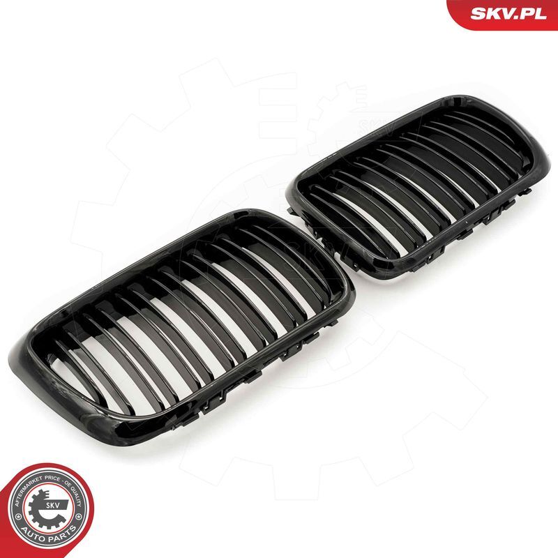 ESEN SKV, Grille de radiateur