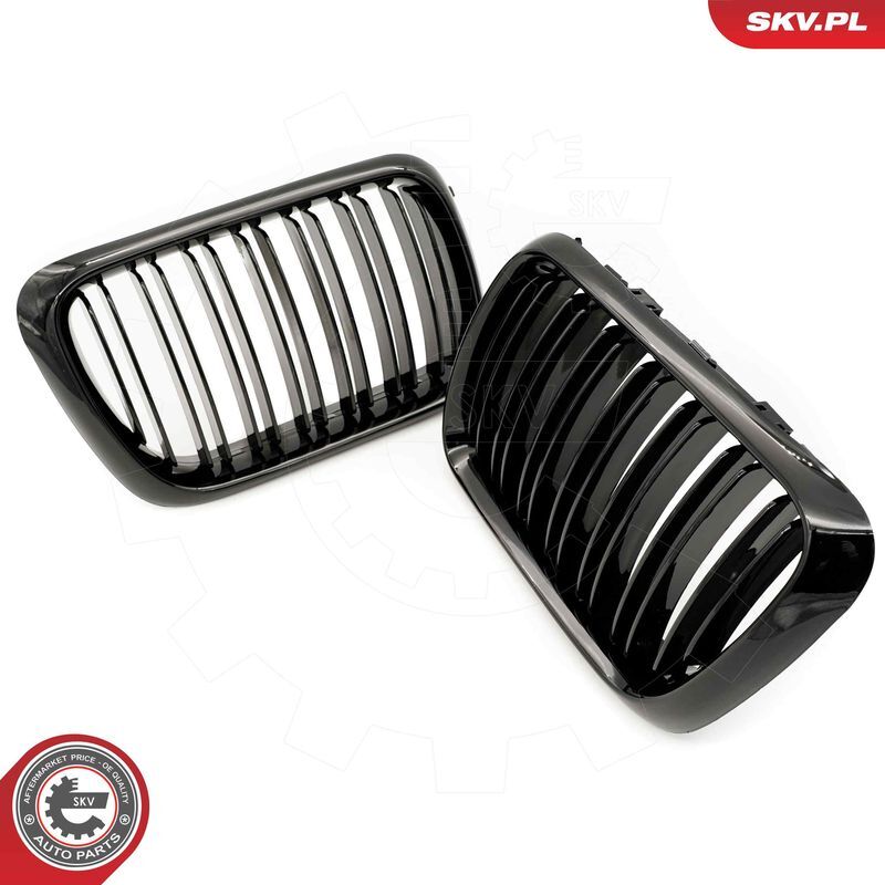 ESEN SKV, Grille de radiateur