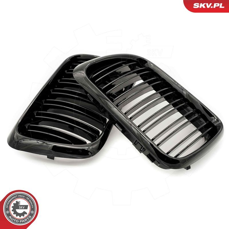 ESEN SKV, Grille de radiateur