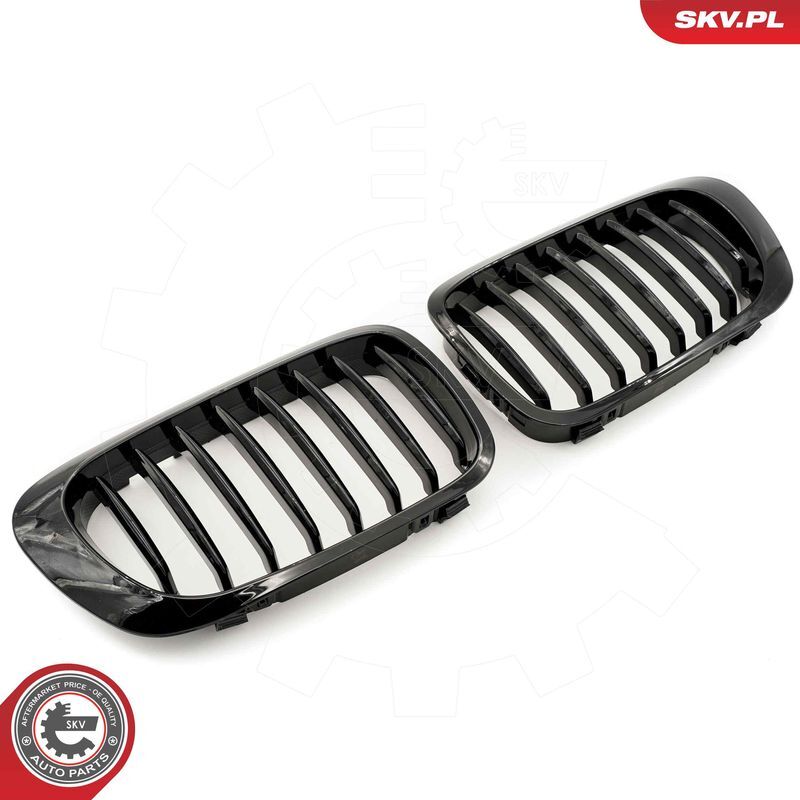 ESEN SKV, Grille de radiateur