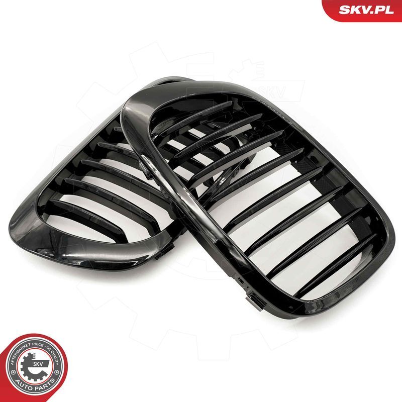 ESEN SKV, Grille de radiateur