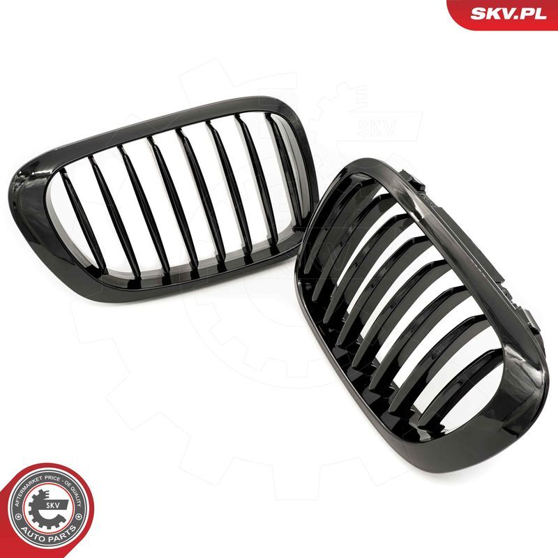 ESEN SKV, Grille de radiateur