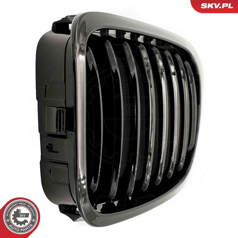 ESEN SKV, Grille de radiateur