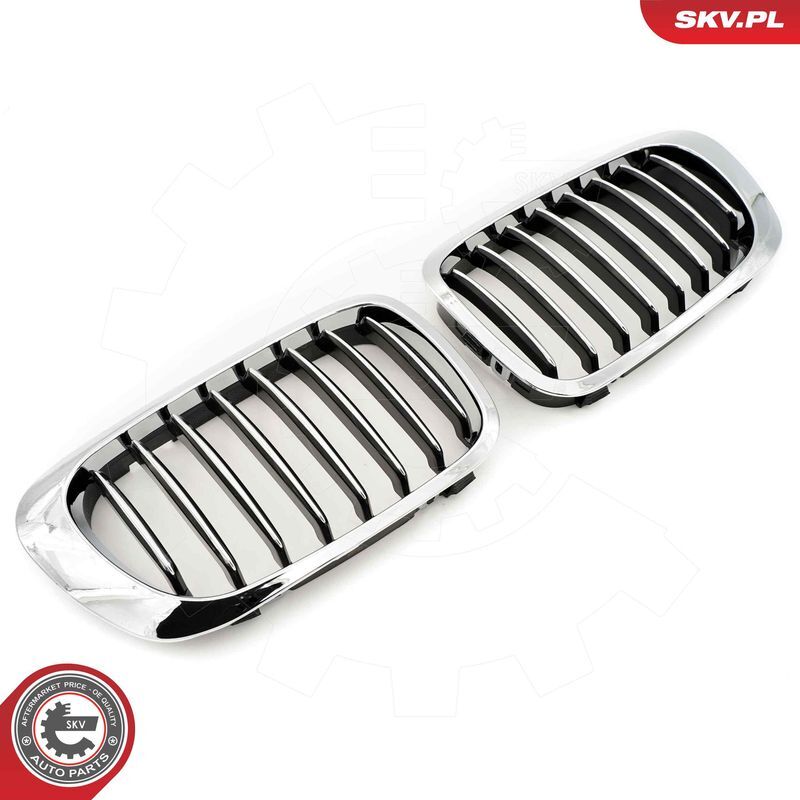 ESEN SKV, Grille de radiateur