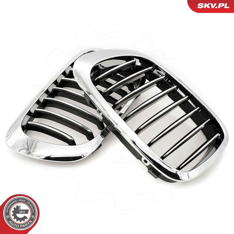 ESEN SKV, Grille de radiateur