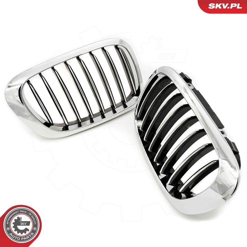 ESEN SKV, Grille de radiateur