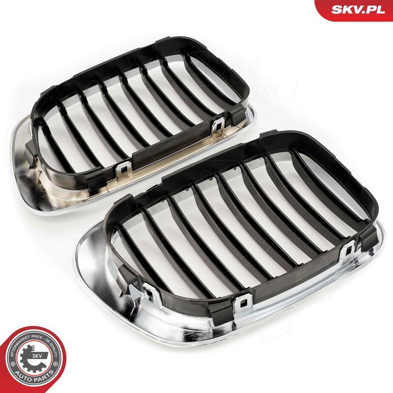 ESEN SKV, Grille de radiateur