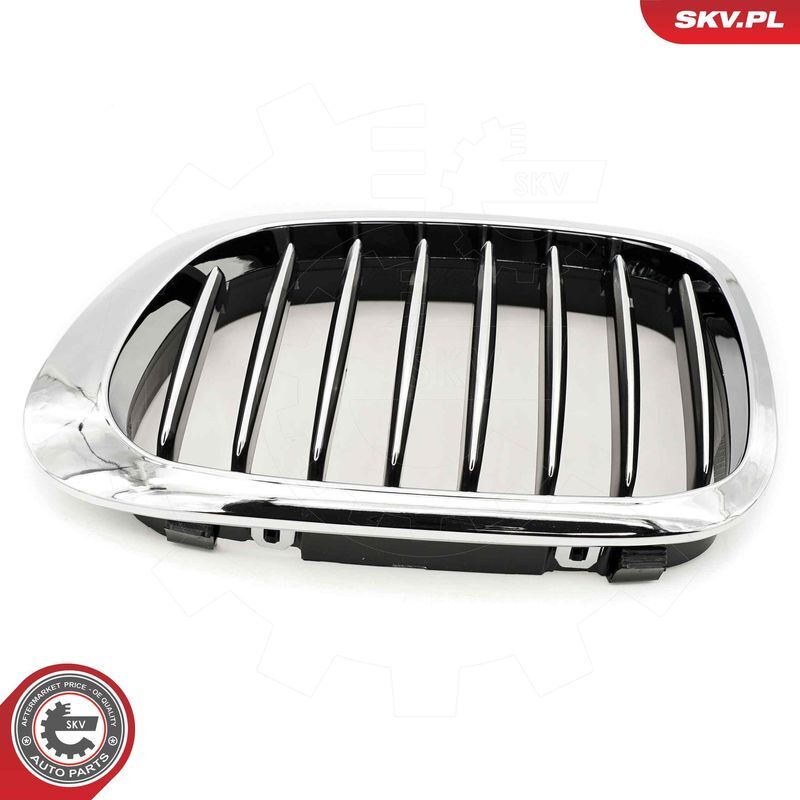 ESEN SKV, Grille de radiateur