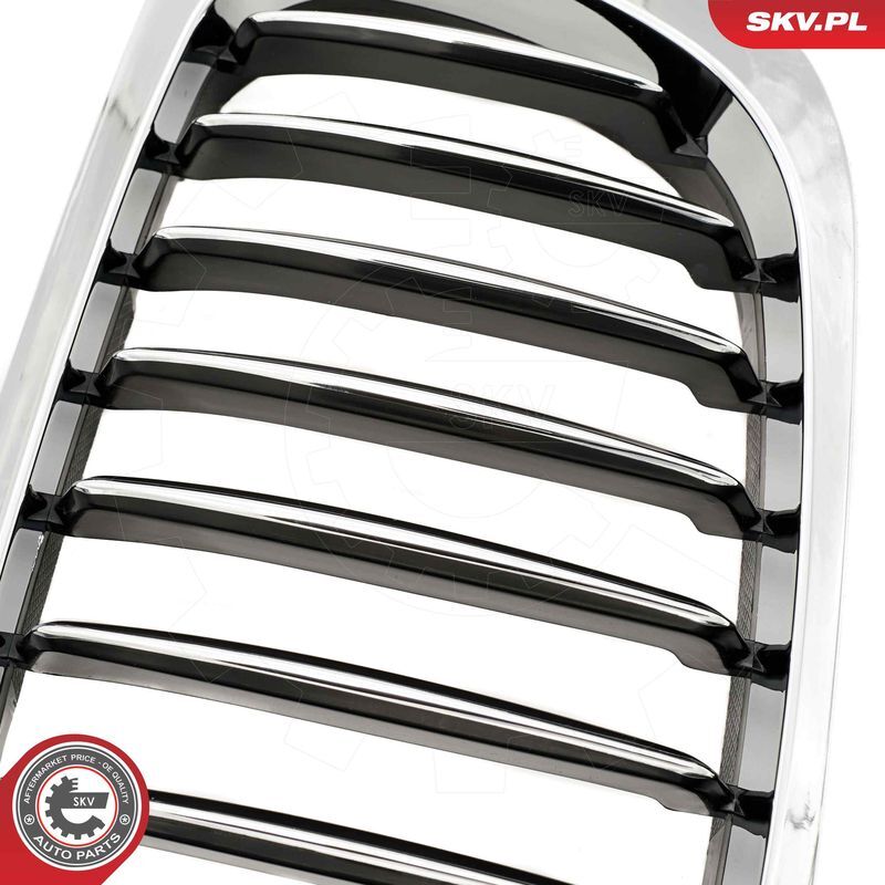 ESEN SKV, Grille de radiateur