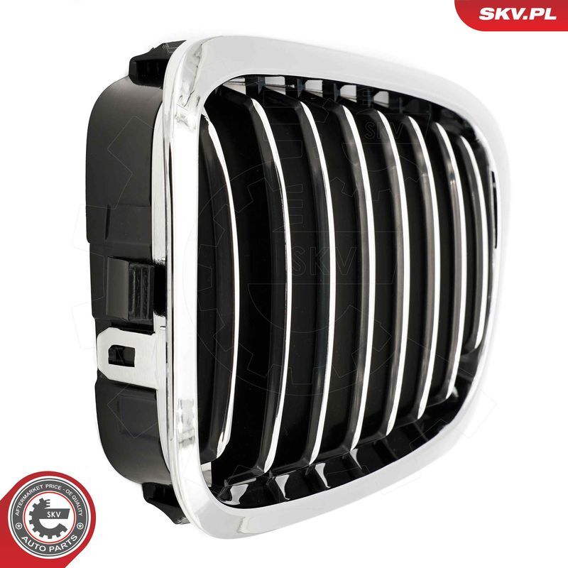 ESEN SKV, Grille de radiateur