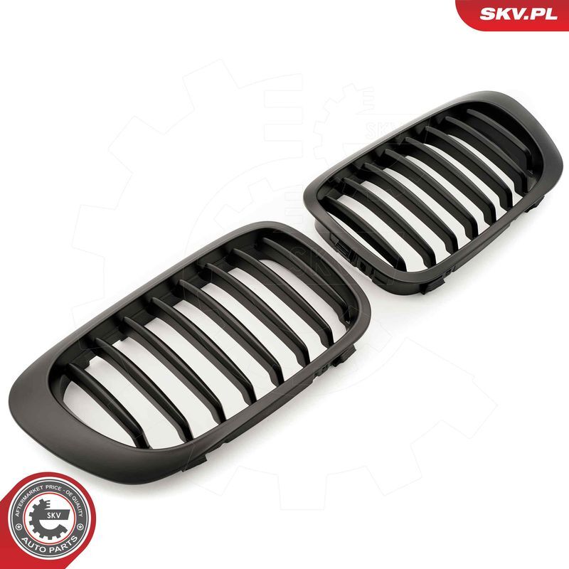 ESEN SKV, Grille de radiateur