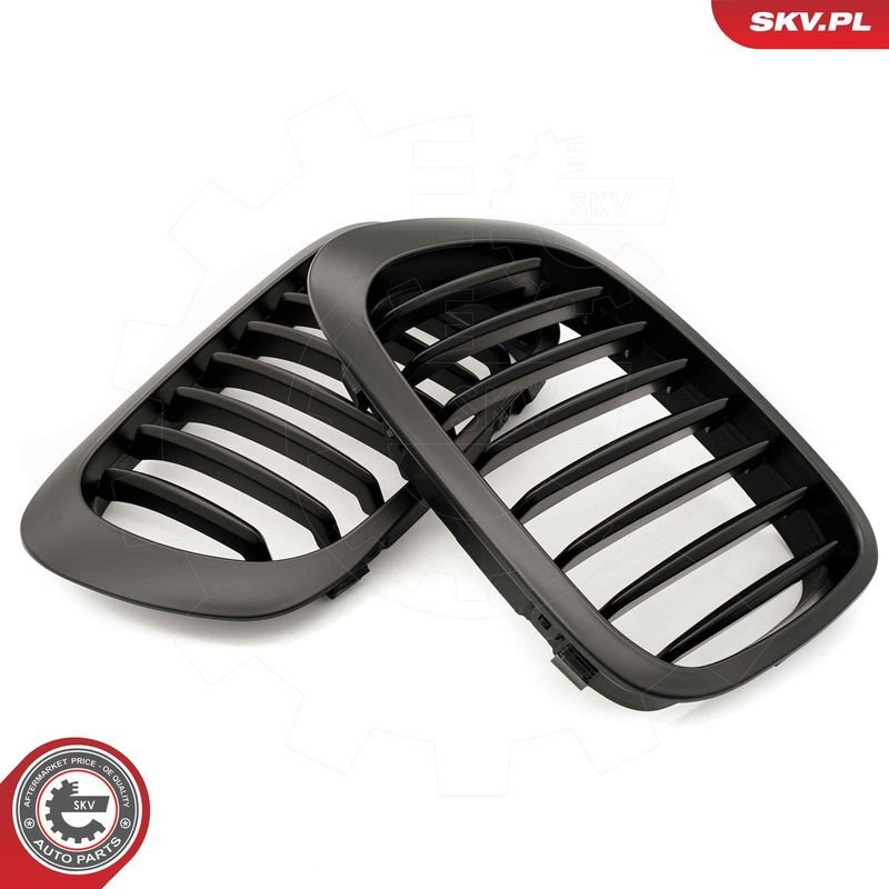 ESEN SKV, Grille de radiateur