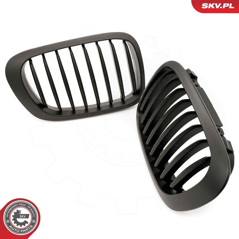 ESEN SKV, Grille de radiateur