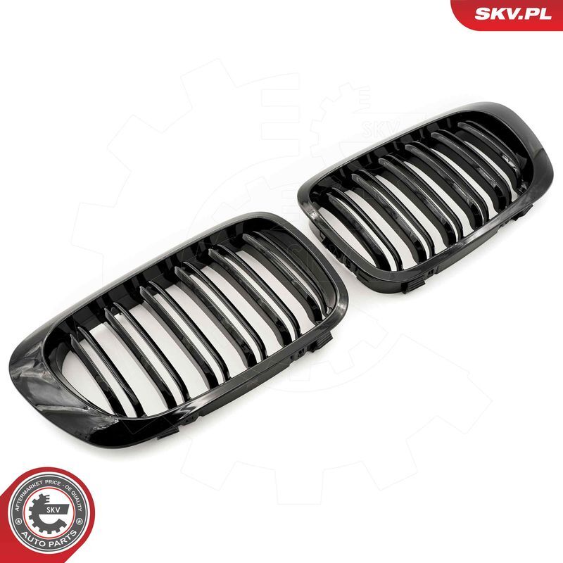 ESEN SKV, Grille de radiateur