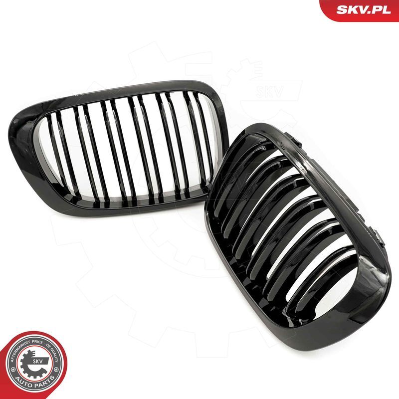 ESEN SKV, Grille de radiateur