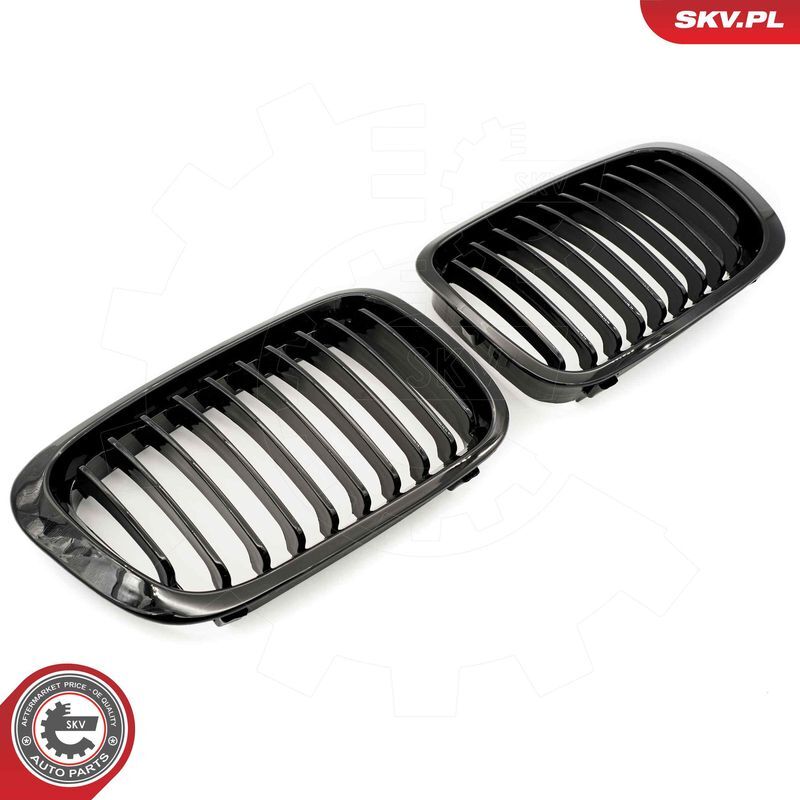 ESEN SKV, Grille de radiateur