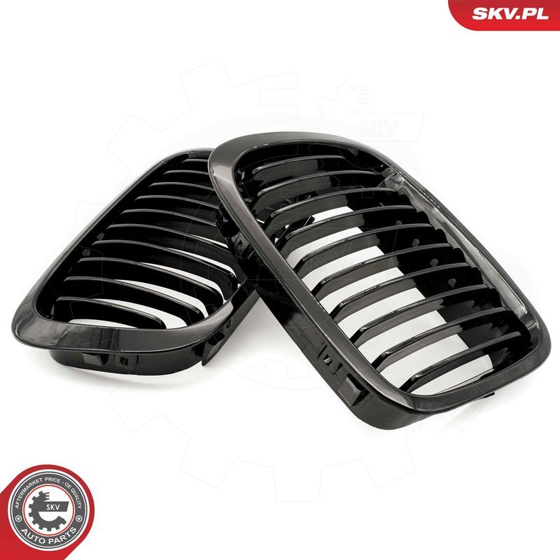 ESEN SKV, Grille de radiateur