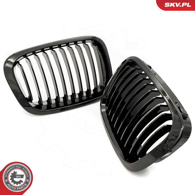 ESEN SKV, Grille de radiateur