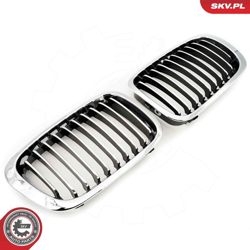 ESEN SKV, Grille de radiateur