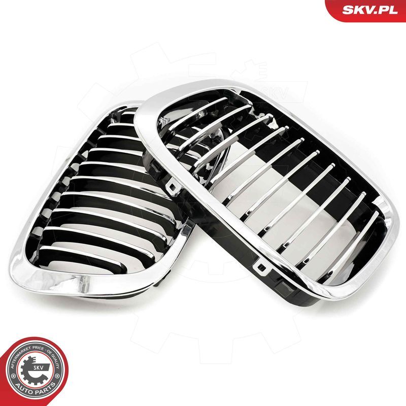 ESEN SKV, Grille de radiateur