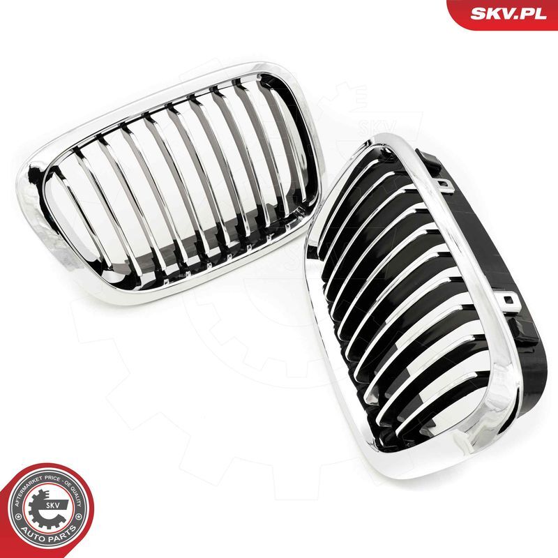 ESEN SKV, Grille de radiateur