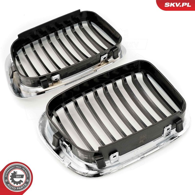 ESEN SKV, Grille de radiateur