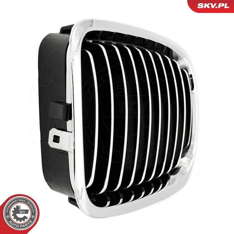 ESEN SKV, Grille de radiateur