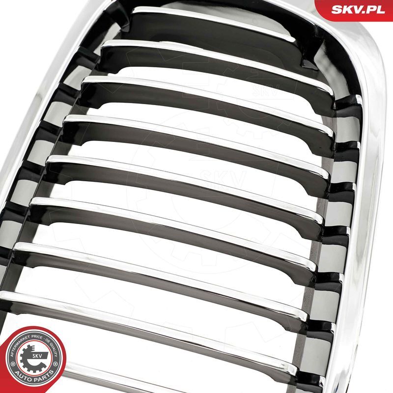 ESEN SKV, Grille de radiateur