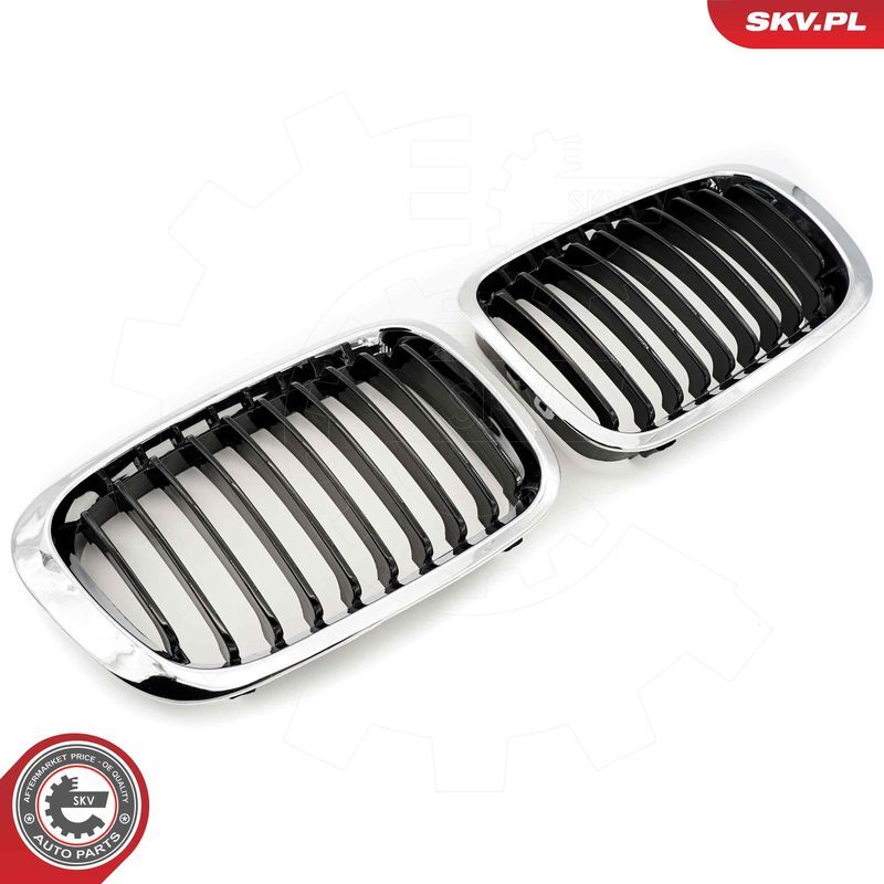 ESEN SKV, Grille de radiateur