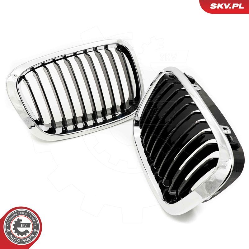 ESEN SKV, Grille de radiateur