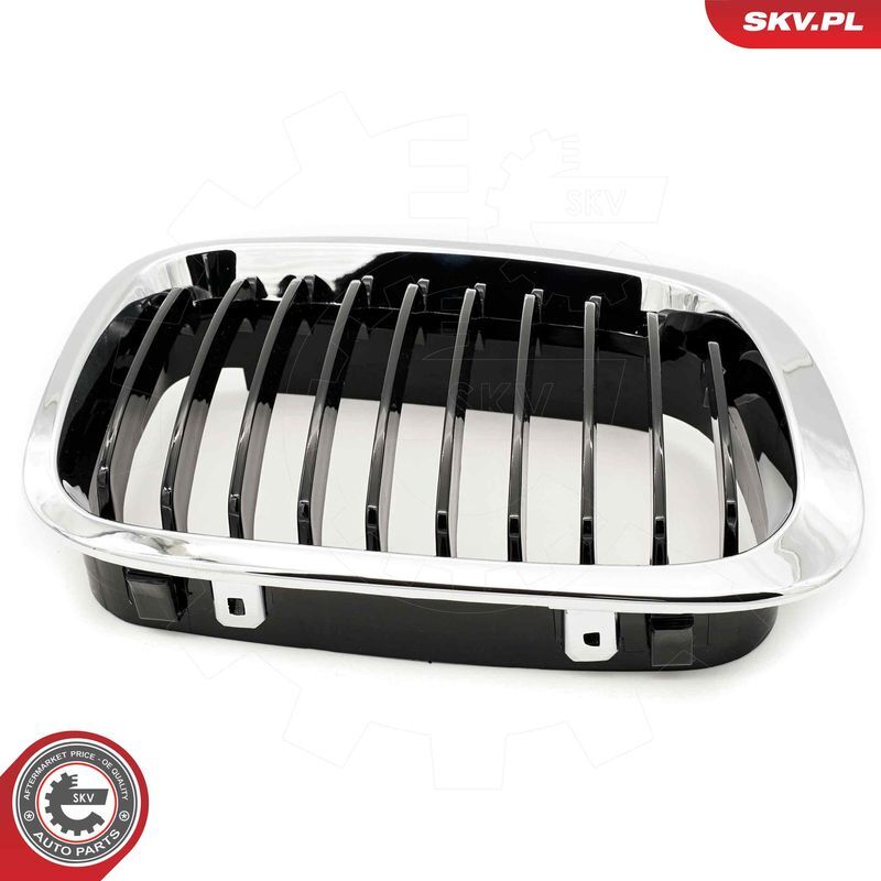 ESEN SKV, Grille de radiateur