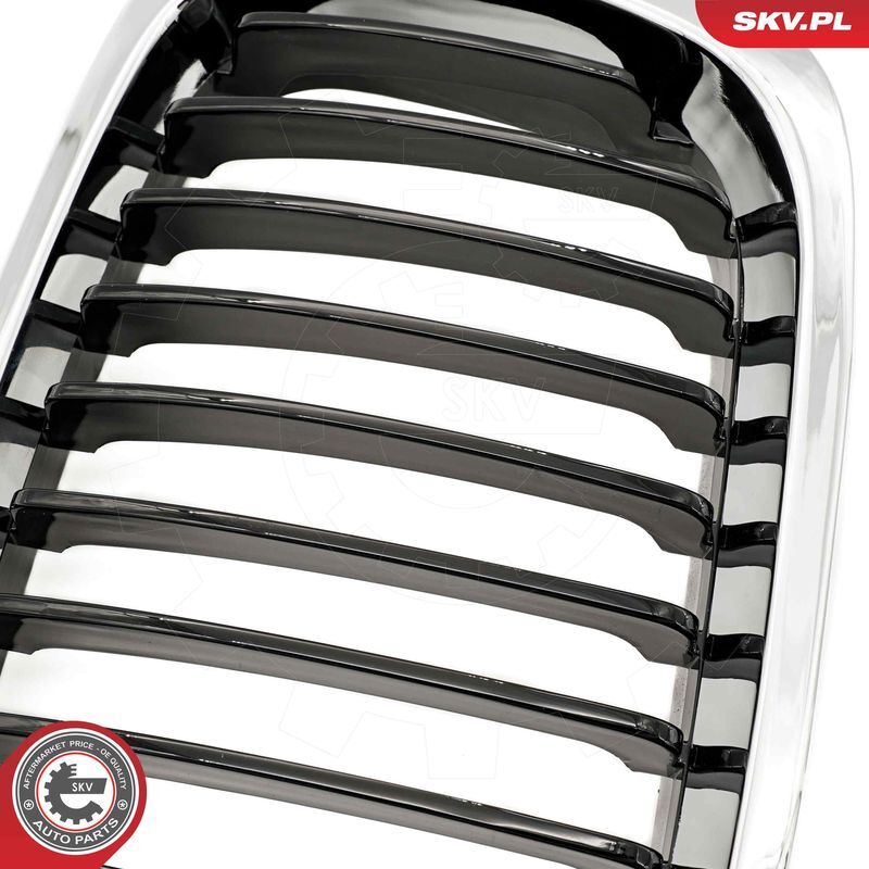 ESEN SKV, Grille de radiateur