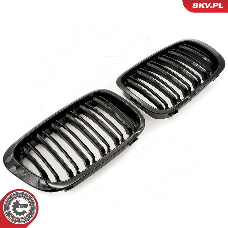 ESEN SKV, Grille de radiateur