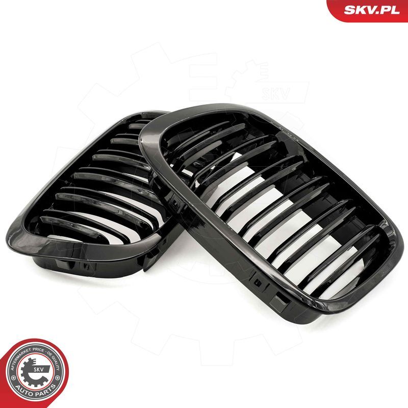 ESEN SKV, Grille de radiateur