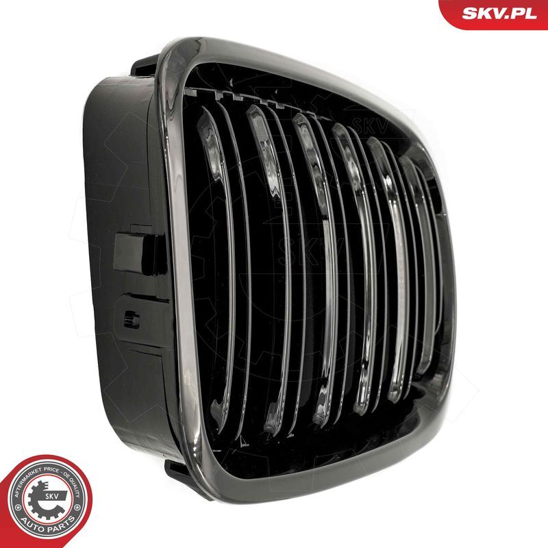 ESEN SKV, Grille de radiateur