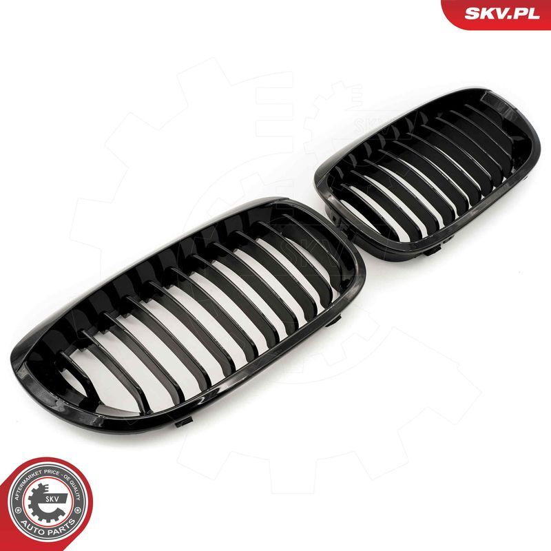 ESEN SKV, Grille de radiateur