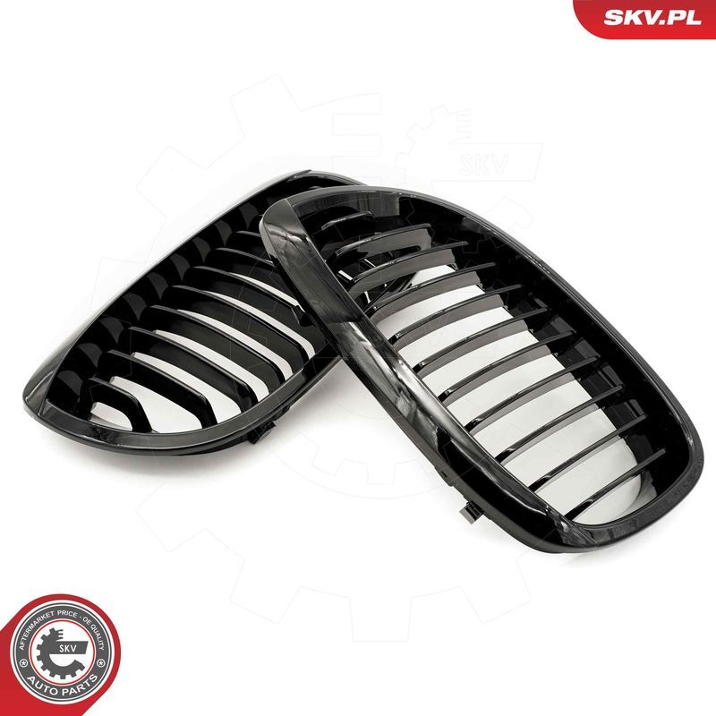 ESEN SKV, Grille de radiateur