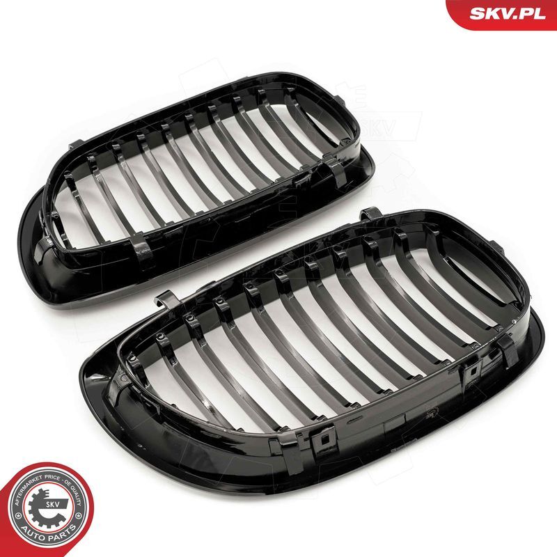 ESEN SKV, Grille de radiateur