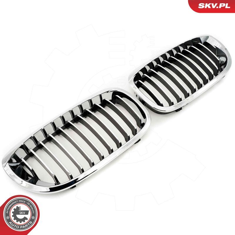 ESEN SKV, Grille de radiateur