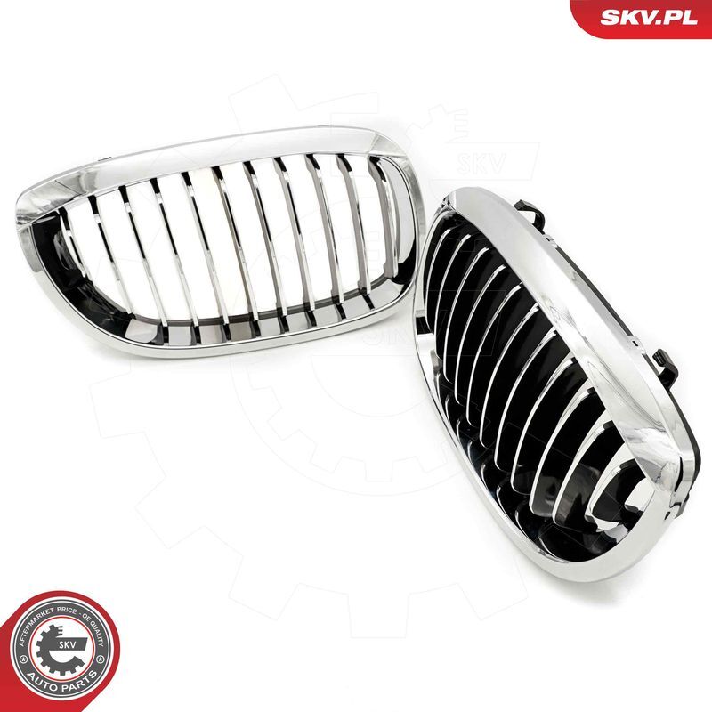 ESEN SKV, Grille de radiateur